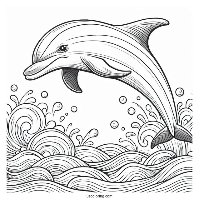 Spinner Dolphin Jumping Out Of Water To Color