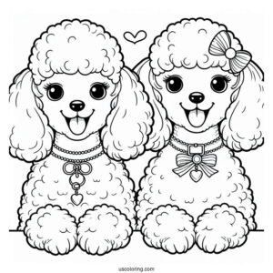 Two Miniature Poodles Smiling