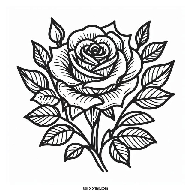 Abstract Rose Drawing To Color