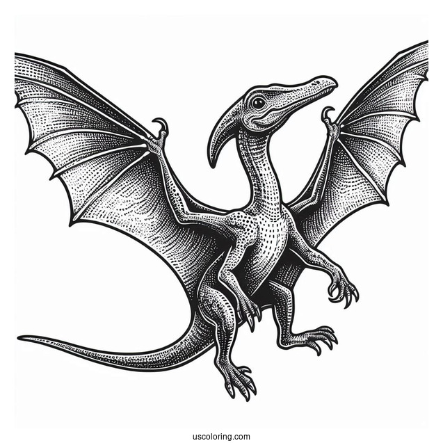 Pterodactyl Coloring Page With Textured Skin And Detailed Wings