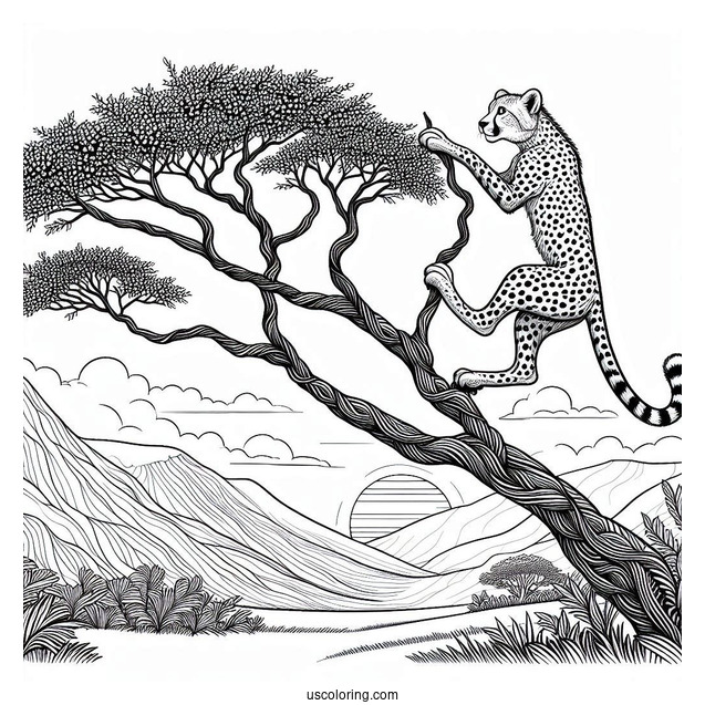 Detailed Cheetah Coloring Page Climbing Tree
