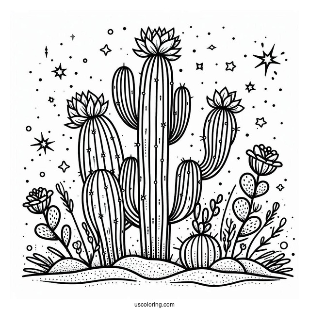 Simple Outline Of Cactus Plants In The Desert For Kids