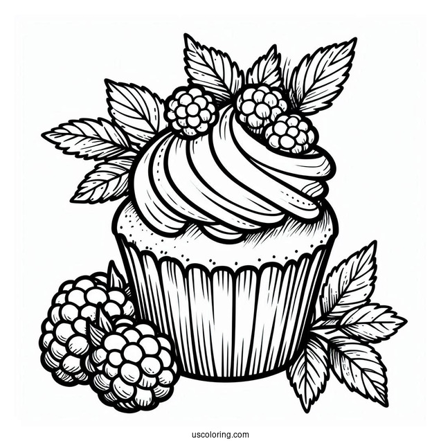 Easy Cupcake With Raspberry To Color