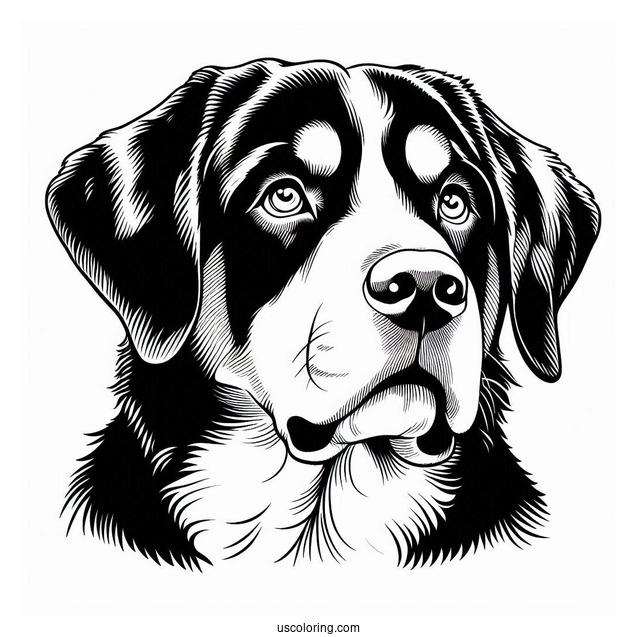 Simple Outline Of Greater Swiss Mountain Dog
