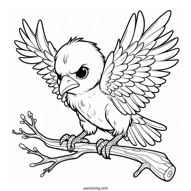 Angry Baby Raven Coloring Page In The Sky For Preschoolers