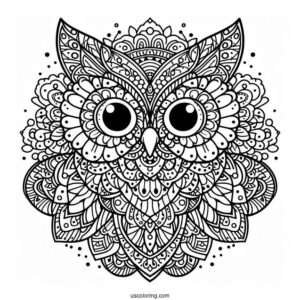 Intricate Owl Mandala To Color