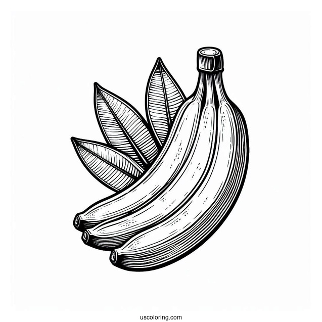 Banana With Leaves Coloring Sheet