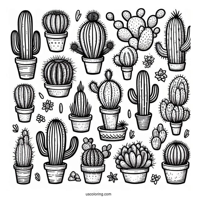 Various Cactus In Arizona Dessert To Color