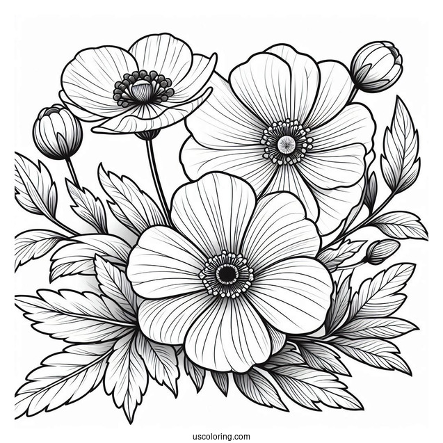 Flower Coloring Pages Of Hibiscus With Anemones
