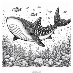 Detailed Whale Shark Coloring Page