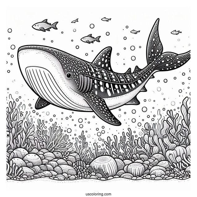 Detailed Whale Shark Coloring Page