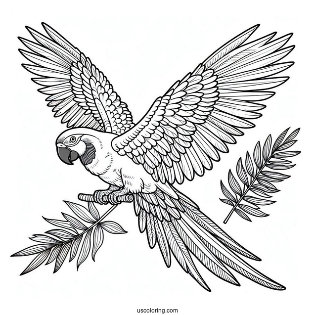 Parrot Flying With Large Wings