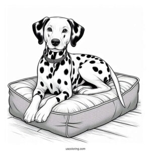 Realistic Dalmatian On Dog Bed Coloring In