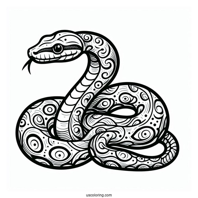 Boa Constrictor Snake To Color