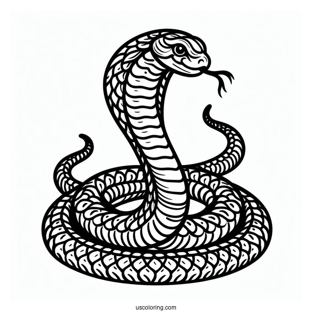 Coloring Sheet Of King Cobra Snake
