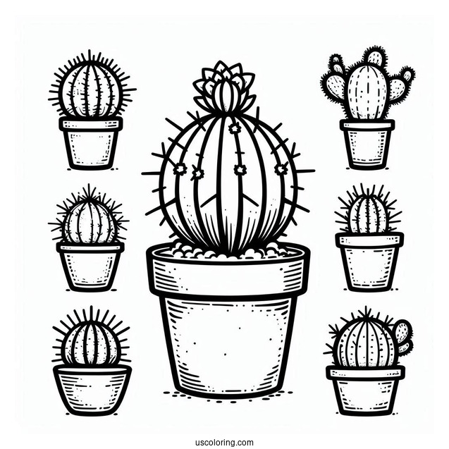 Various Baby Cactus Plants To Color