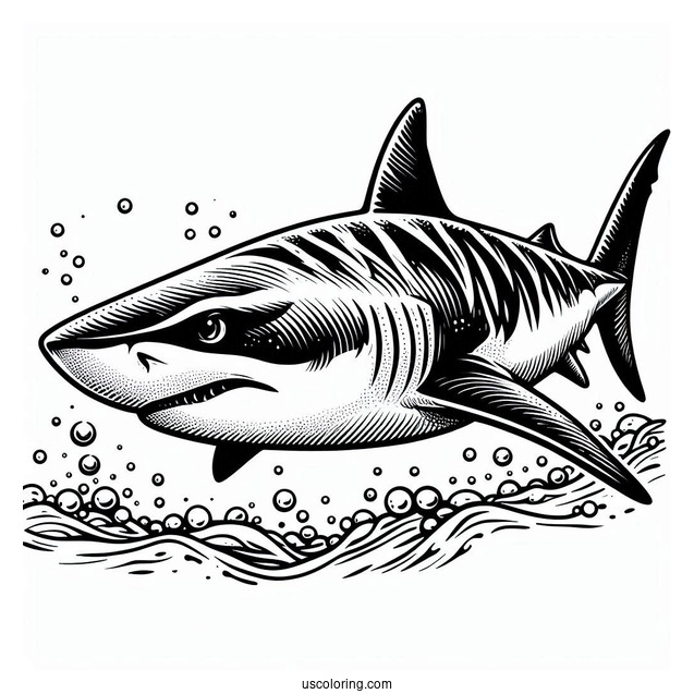 Tiger Shark Coloring Page Deep In The Ocean