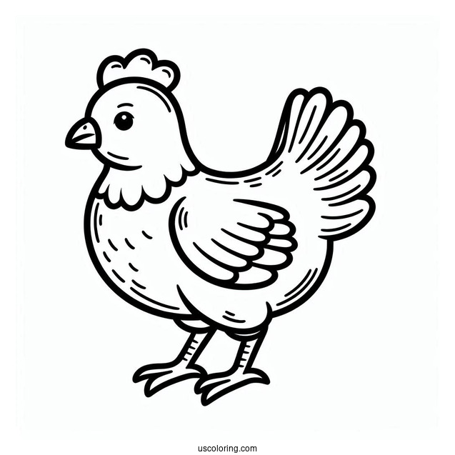 Simple Outline Of a Chicken To Color