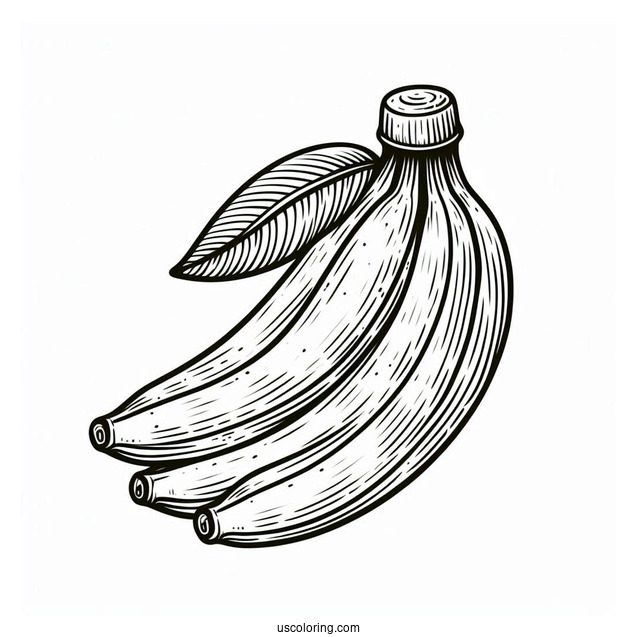 Banana With Leaves Coloring Sheet