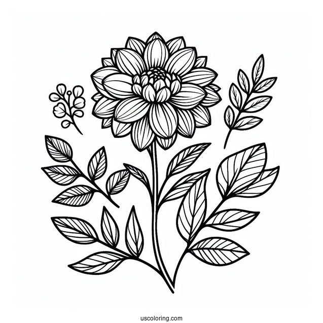 Flower Coloring Pages Of Linda s Baby Dahlia
