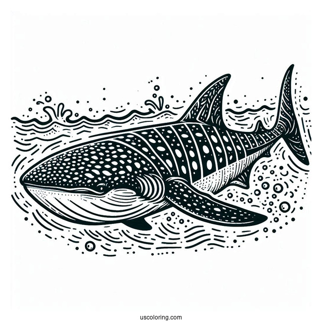 Detailed Whale Shark Coloring Page