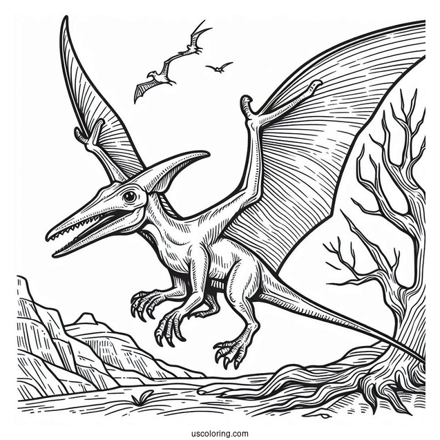 Pterodactyl Coloring Page With Sharp Beak