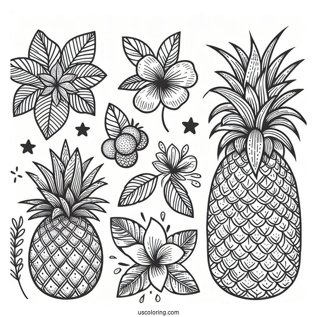 Hawaiian Themed Pineapple Coloring Page
