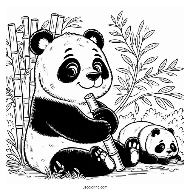 Giant Panda Sitting And Eating Bamboo