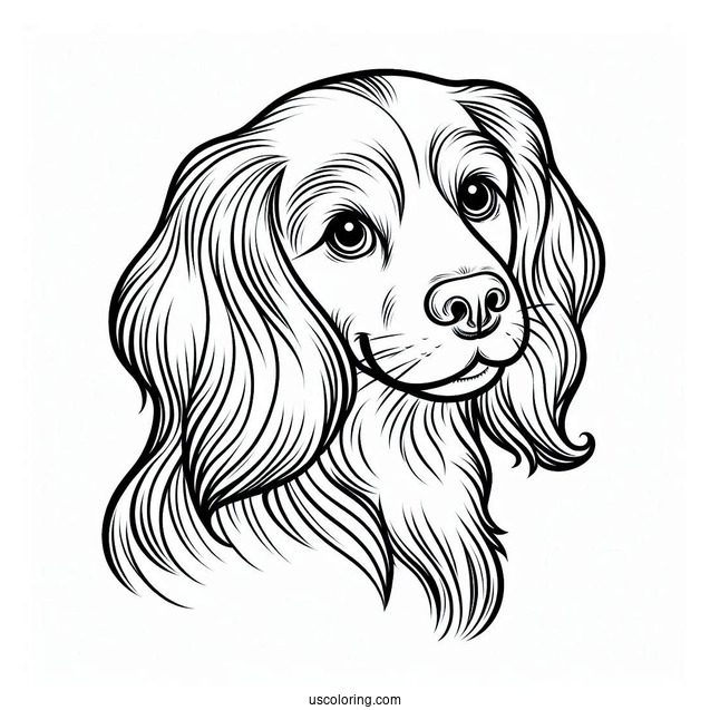 Pretty Spaniel Dog To Color