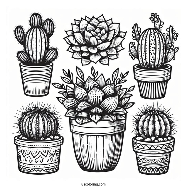 Cactus And Succulent Art Coloring Sheet