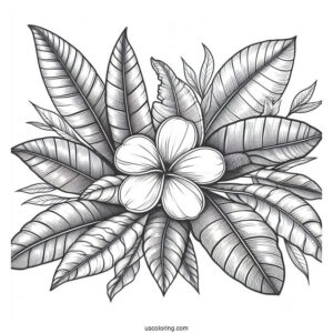 Flower Coloring Pages Of Plumerias On Large Leaves