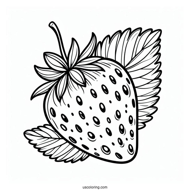 Simple Strawberry Coloring Sheet For Kids