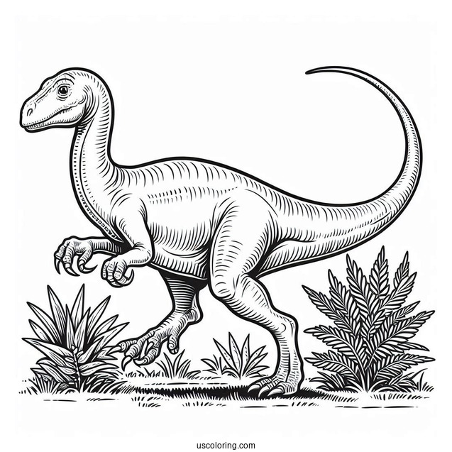 Troodan Dinosaur Strolling Coloring Sheet