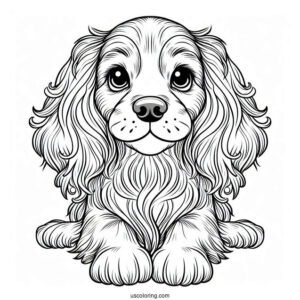 Pretty Spaniel Dog To Color