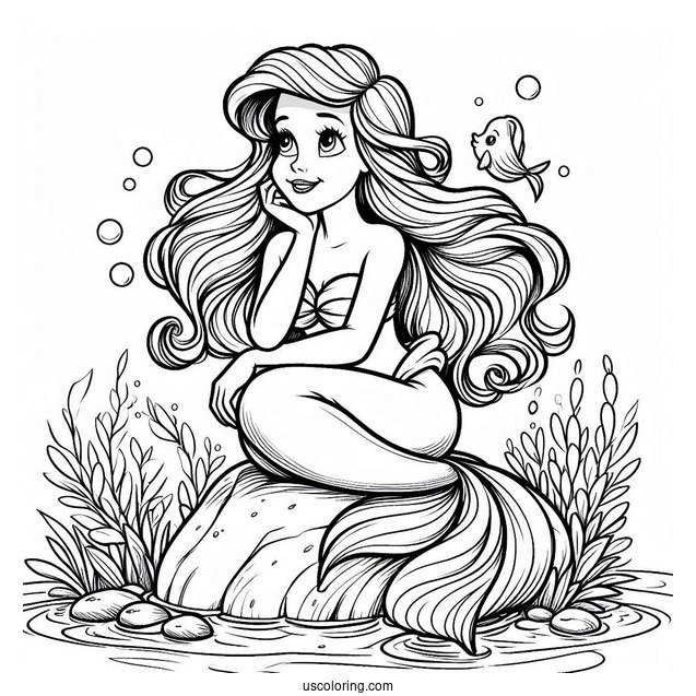 Ariel Sitting On Rock