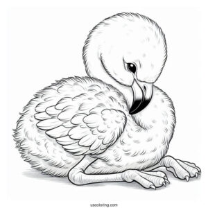 Realistic Baby Flamingo To Color