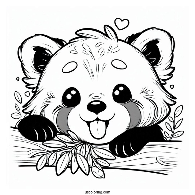 Red Panda Poking Its Tongue Out