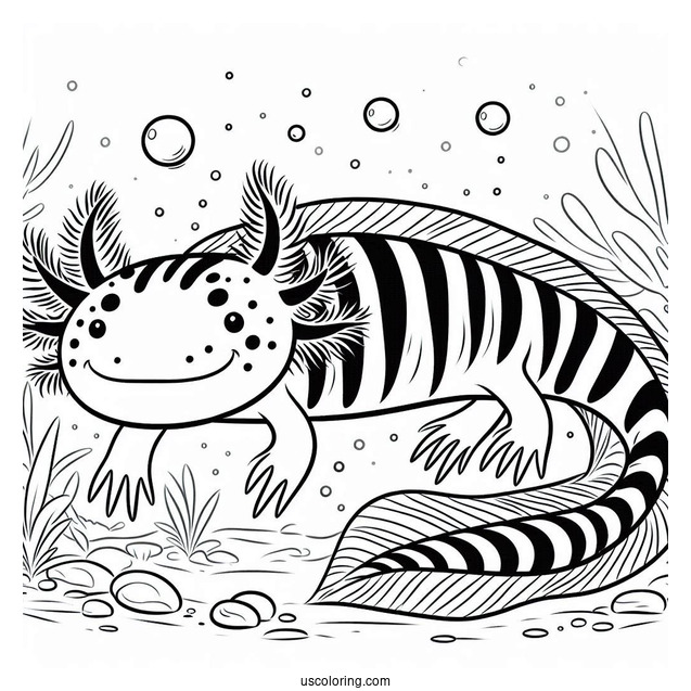 Striped Axolotl Coloring Page Swimming Towards The Sea Floor