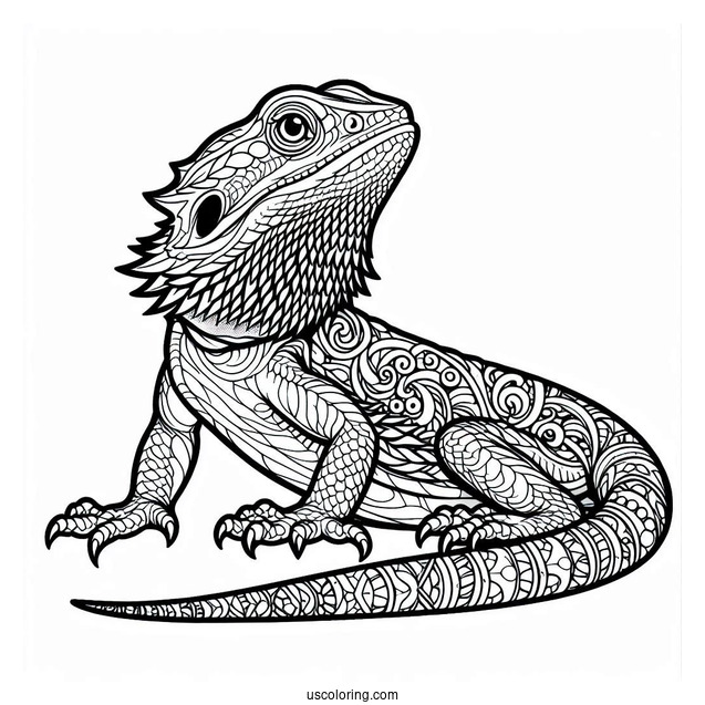 Central Bearded Dragon Lizard Coloring Page