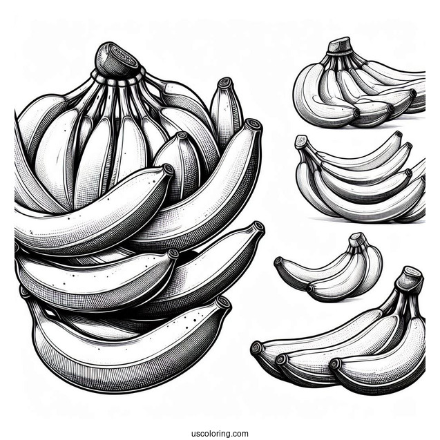 Multiple Bunches Of Bananas Coloring Pages