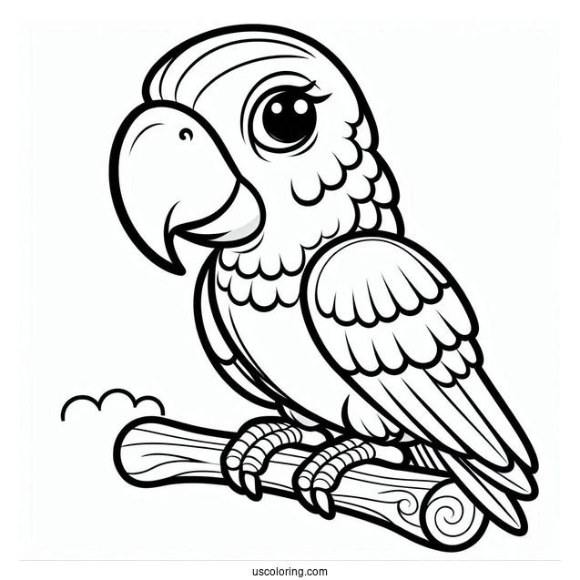 Parrot With Large Beak To Color