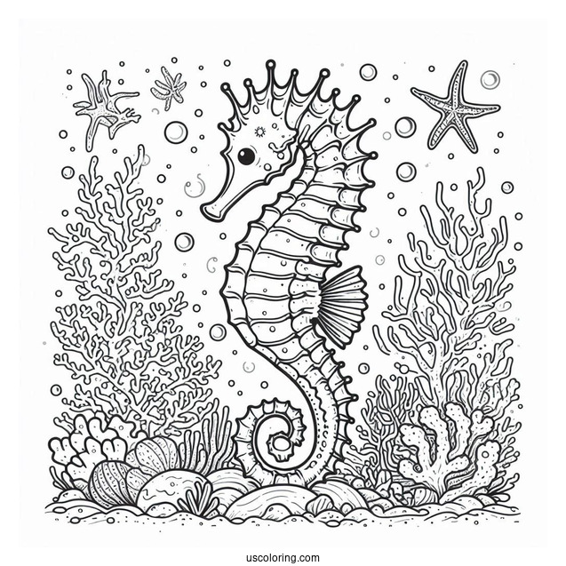 Cartoon Seahorse Surrounded By Coral