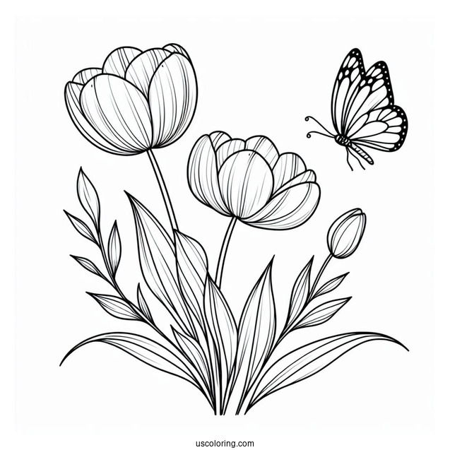 Flower Coloring Pages Of Three Tulips With Butterfly