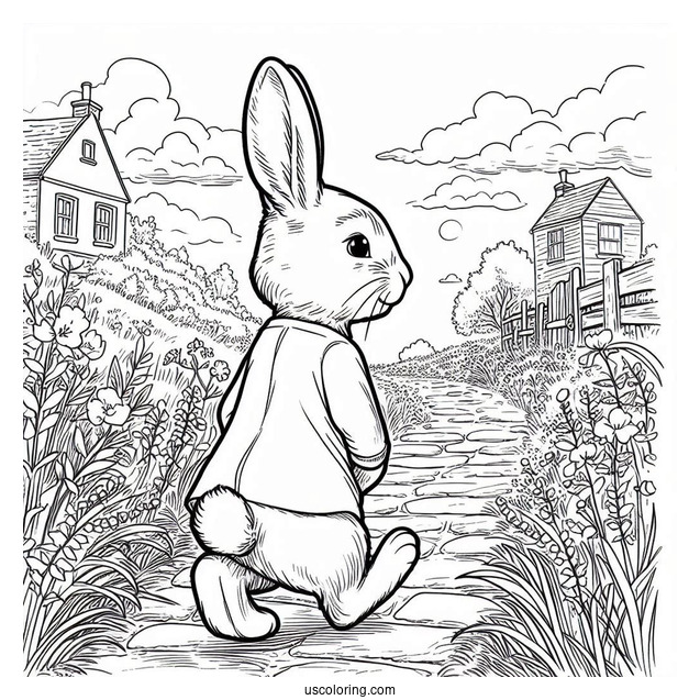 Easy Peter Rabbit Coloring Page Walking Down A Path