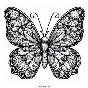 Detailed Coloring Sheet Of Butterfly