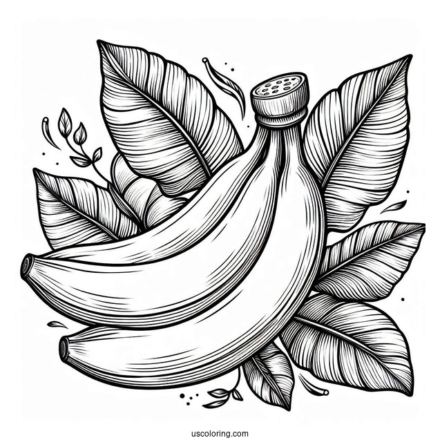 Banana With Leaves Coloring Sheet