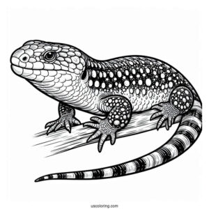 Shingleback Lizard Coloring Page