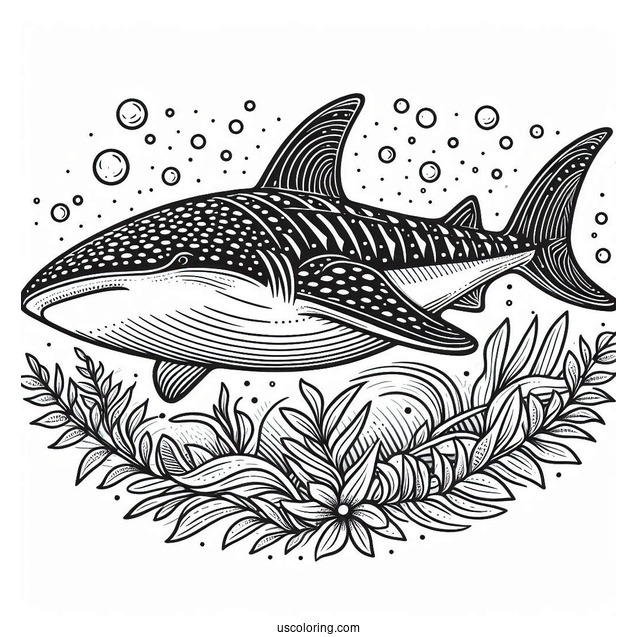 Detailed Whale Shark Coloring Page