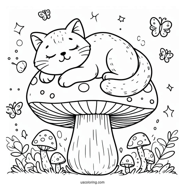 Cat Sleeping On Big Mushroom