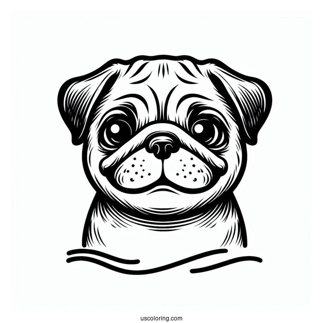 Coloring Page Of Pug With Tilted Head